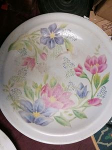 Four Melamine Plate
