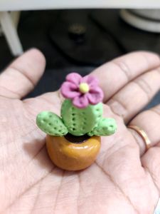 Mini Cactus Plant