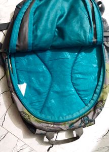 Wildcraft Backpack