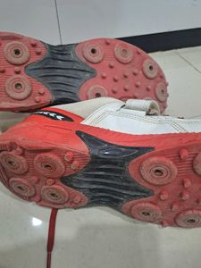 Sports Shoes