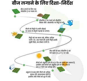 Cauliflower Seeds Hybrid फूलगोभी के बीज