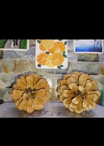 Natural Pinecone Pair