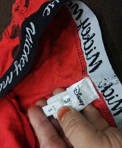 Mickey Mouse Briefs 🔥