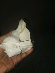 Valampuri Sangu , I Bought New So I&#39;m Selling This