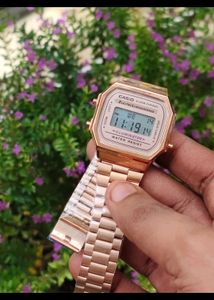 Casio Watch Unisex New Rakhi Offer
