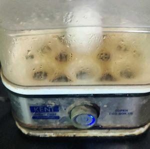 available only egg boiler