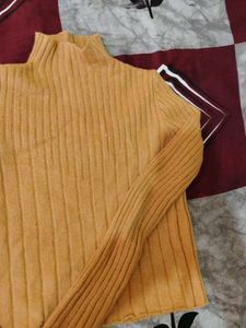 Winter High Neck Top