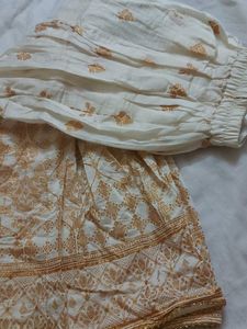 Elegant Ethnic Skirt