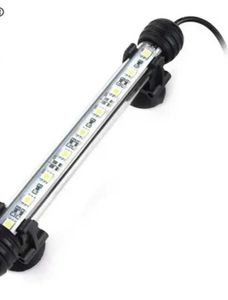 Aquarium Light