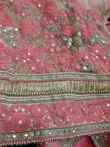 Heavy Net Chiffon Saree + blouse