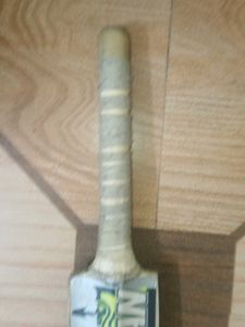 Cricket Bat