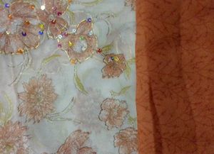 Dupattas Of Different Fabric