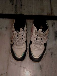 Stylish Casual Sneakers