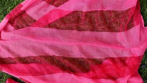 Combo of 4 Dupatta