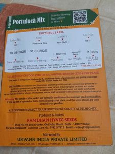 WINTER FLOWERING PLANTS-PORTULACA MIX