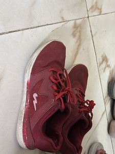 Maroon Casual Sneakers