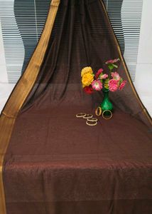 Elegant Coffee Brown Saree Zaree Patta