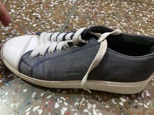 Shoes Roadster