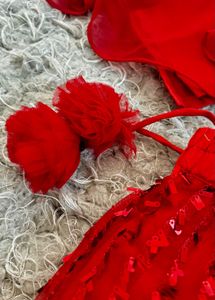 PSpeachrs Red Lehenga Choli Set