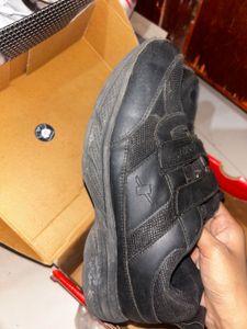 Sparx Black Sports Shoes