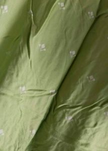 Parot Green Dress