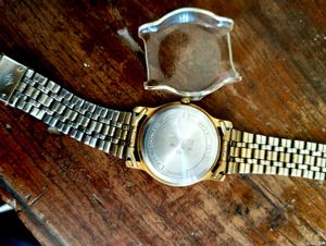Timax Vista Watch
