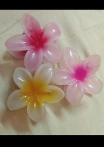 Trendy Hair Clutcher