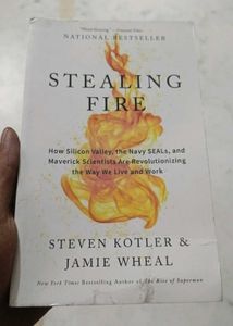 Stealing Fire: Non-Fiction Book