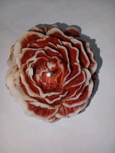 santed candle 🕯️