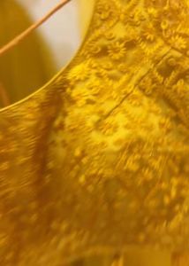 ruffle mustard lehenga