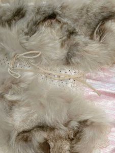 korean cardigan Elite Faux Fur Vest