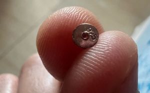 GIVA Stud Earrings - 925 Hallmarked