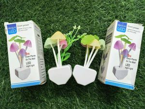 Mashroom Night Light ( Pack Of _2)