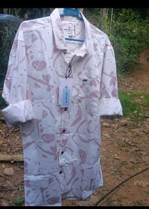 Shirt In Cod