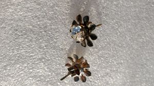 Beautiful Flower Diamond Studs