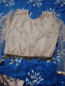 Biscuit colour lehnga choli set