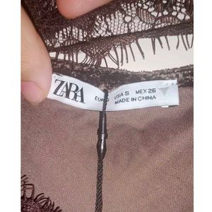 Zara Lace Dress