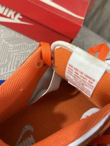 Nike Sb Dunk Low