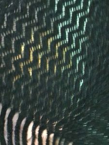 Cozy Black &amp; Pink Knit Shawl 🩷🖤