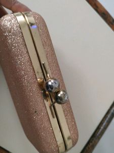 Beautiful Party Wear Clutch