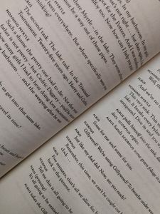 Happy Potter Novel Book...