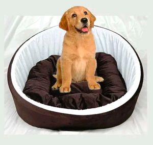 Dog&#39;s Bed