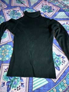 Turtle Neck Top