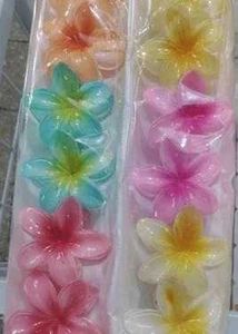 Floral Hair Clips - 4 Pack