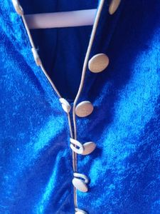 Gorgeous Blue Pure Velvet Desi Top