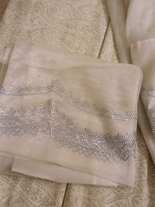 Beautiful Organza Saree