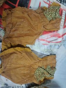 Elegant Embellished Saree