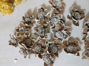 Set of 5 Sola Wood Flowers