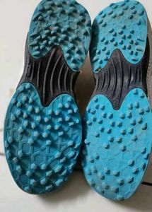 Sega Cricket Stud Shoe For player