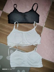 3 Bra Combo Offer